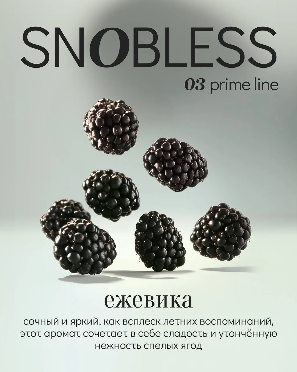 Snobless 25 гр. Blackberry