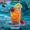 Darkside XPERIENCE 30 гр. Citrus Wave