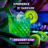 Darkside XPERIENCE 30 гр. Resident Kiwi