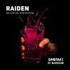 Darkside Sabotage 30 гр. Raiden