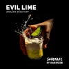 Darkside Sabotage 30 гр. Evil Lime