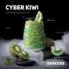 Dark Side Core 100 гр. Cyber Kiwi