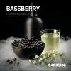 Dark Side Core 100 гр. Bassberry