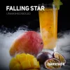 Dark Side Core 100 гр. Falling Star
