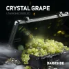 Dark Side Core 100 гр. Crystal Grape