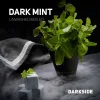 Dark Side Core 30 гр. Dark Mint