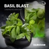 Dark Side Core 30 гр. Basilblast