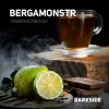 Dark Side Core 30 гр. Bergamonster