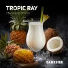 Dark Side Core 30 гр. Tropic Ray