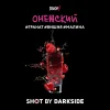 Dark Side Shot 120 гр. Онежский панч