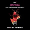 Dark Side Shot 30 гр. Амурский Панч