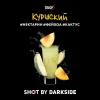 Dark Side Shot 30 гр. Куршский вайб