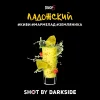 Dark Side Shot 30 гр. Ладожский вайб