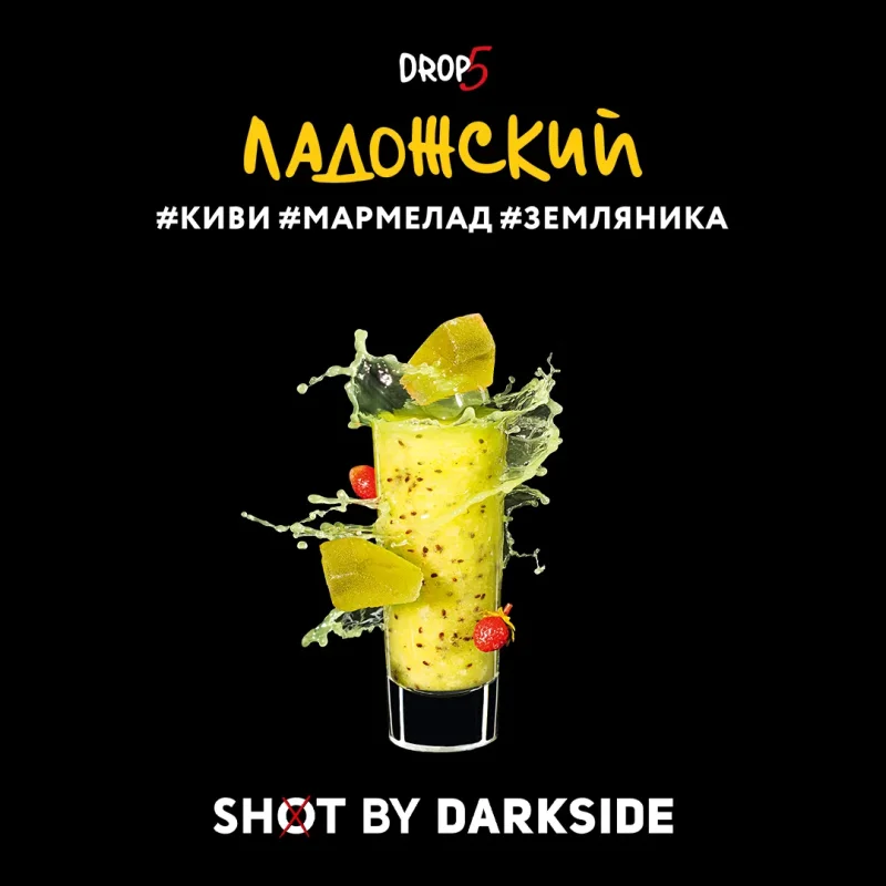 Dark Side Shot 30 гр. Ладожский вайб