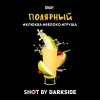 Dark Side Shot 30 гр. Полярный