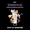 Dark Side Shot 30 гр. Приморский шейк