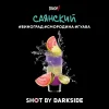 Dark Side Shot 30 гр. Саянский Бит