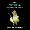 Dark Side Shot 30 гр. Якутский Бит