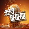 SEBERO Arctic Mix 25 гр. Caramel Glass