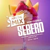 SEBERO Arctic Mix 100 гр. Morozhenka