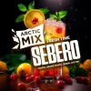 SEBERO Arctic Mix 100 гр. Fresh Time