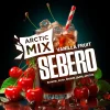 SEBERO Arctic Mix 25 гр. Vanilla Fruit