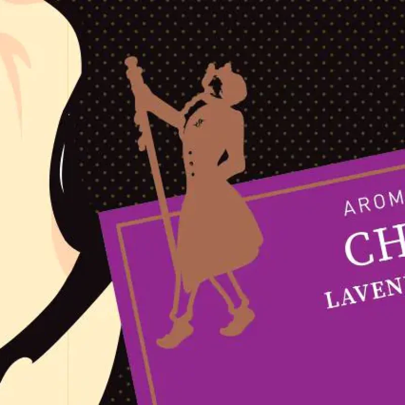 Satyr Aroma 25 гр. Charmer