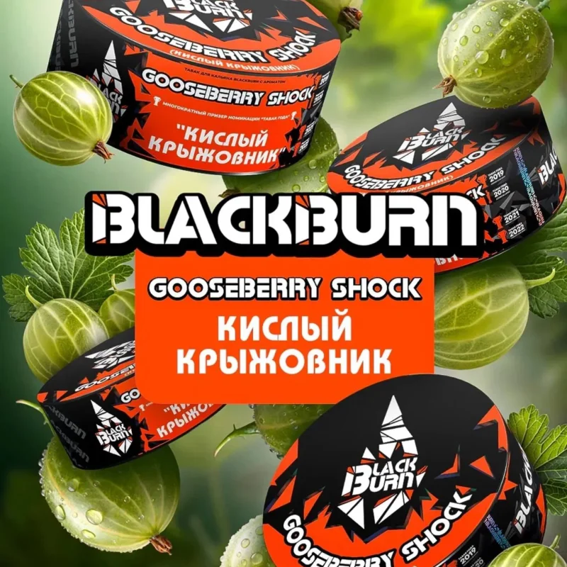 Burn Black 100 гр. Gooseberry Shock