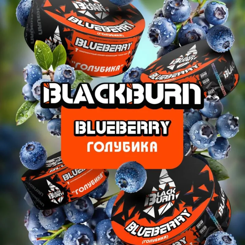 Burn Black 25 гр. Blueberry